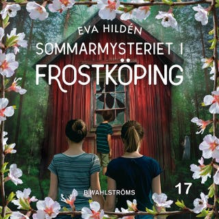 Sommarmysteriet i Frostköping 17