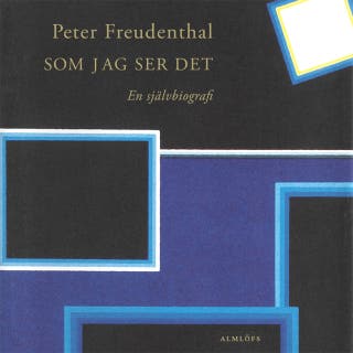 Som jag ser det