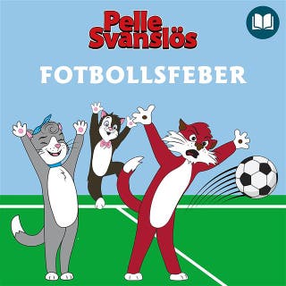 Fotbollsfeber