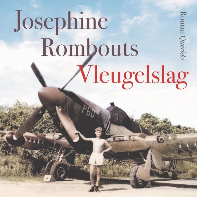 Vleugelslag