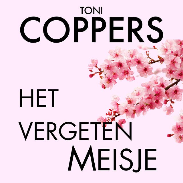 Het vergeten meisje