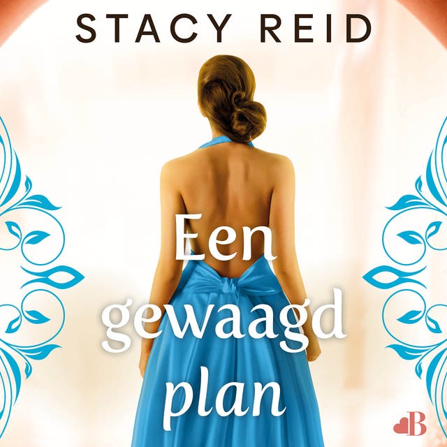 Een gewaagd plan