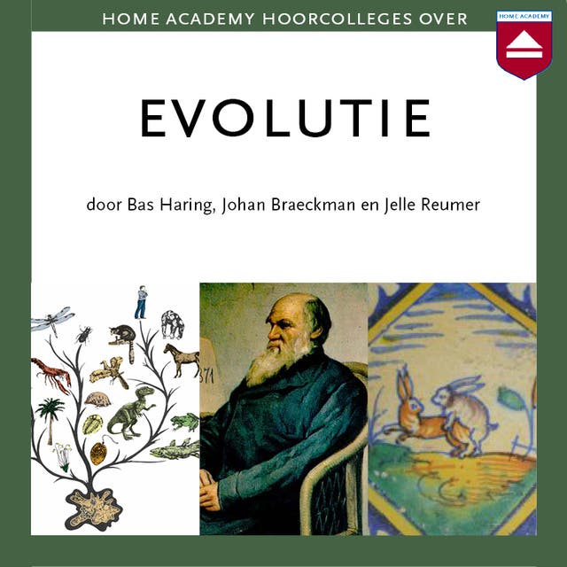 Evolutie