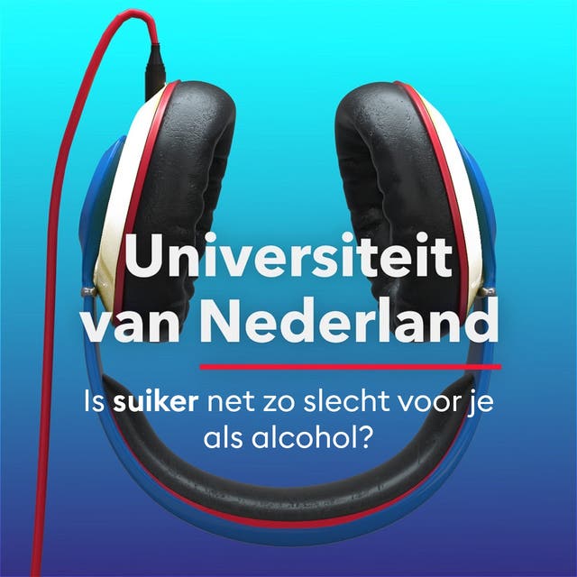 Is suiker net zo slecht voor je als alcohol?