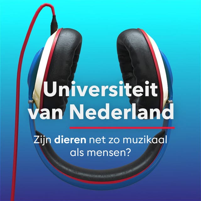 Zijn dieren net zo muzikaal als mensen?