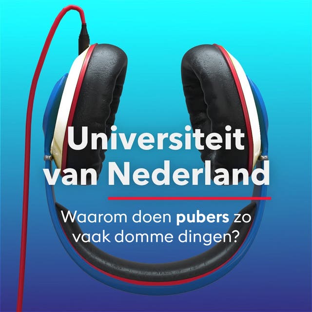 Waarom doen pubers zo vaak domme dingen?