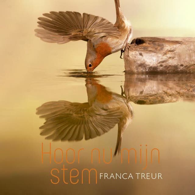 Hoor nu mijn stem