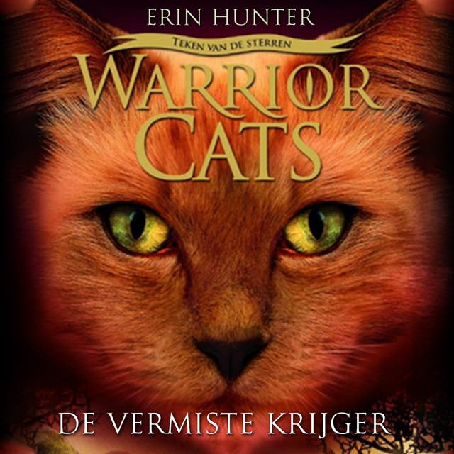 De vermiste krijger