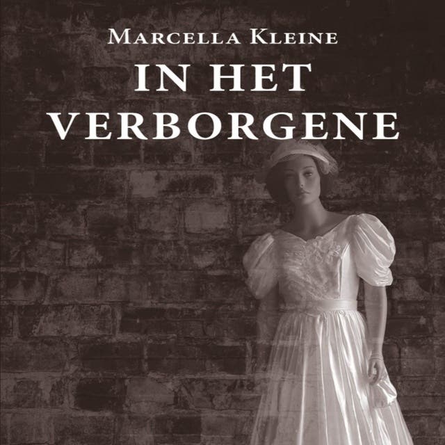 In het verborgene