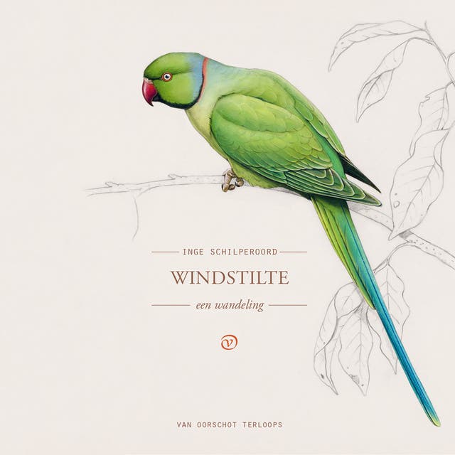 Windstilte: Een wandeling