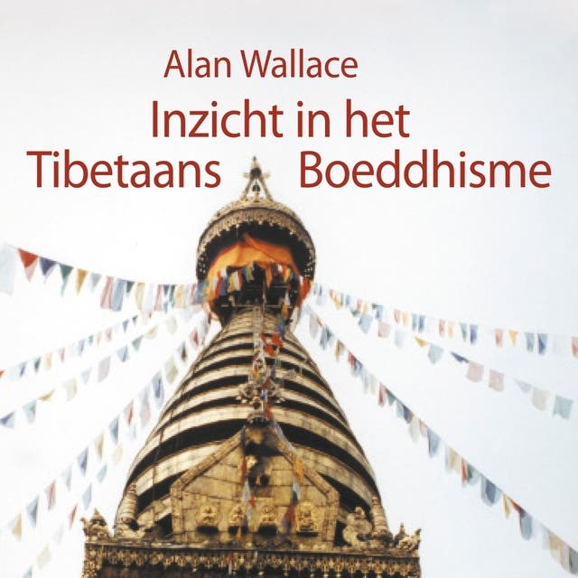 Inzicht in het Tibetaans boeddhisme: Een praktische benadering