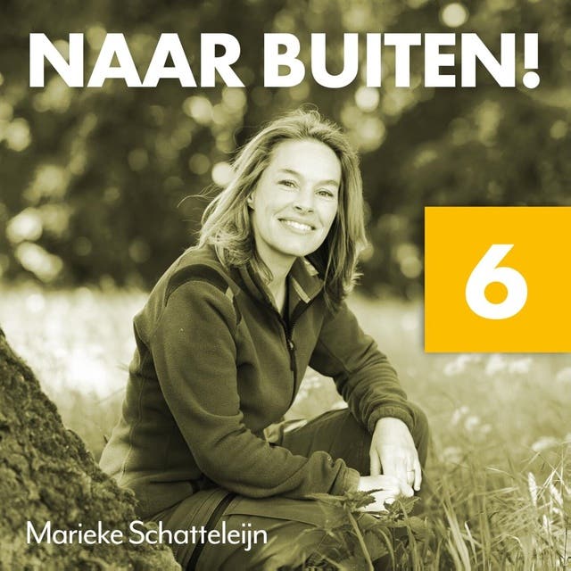 Naar buiten! Hollend door het Drents-Friese Wold 6: Over beweging en hoe de buitenlucht en planten ons gezonder maken