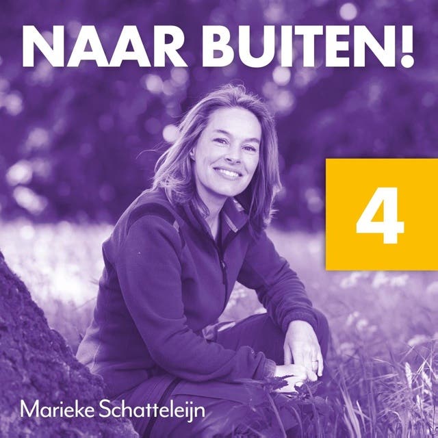 Naar buiten! Samenwerkende mieren in Drenthe 4: Over hoe de natuur ons leert leven, coöpereren en innoveren
