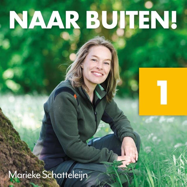 Naar buiten! Licht in het Lauwersmeer: Over de kracht van licht voor de biologische klok, energie en gezondheid