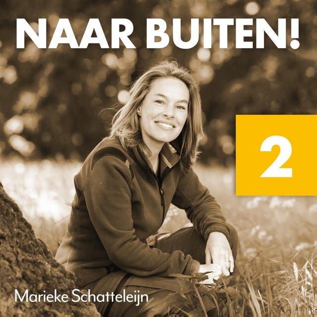 Naar buiten! Bevers in Midden-Limburg 2: Over hoe het zoeken naar sporen je aandacht vergroot, en wat bevers ons leren over bouwen met de natuur