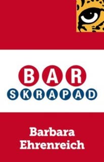 Barskrapad : Konsten att hanka sig fram