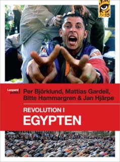 Revolution i Egypten