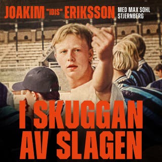 I skuggan av slagen