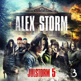 Julstorm: Lucka 5