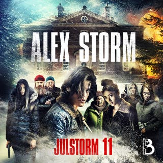 Julstorm: Lucka 11