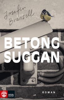 Betongsuggan
