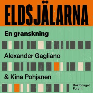 Eldsjälarna : Bidrags-Sverige, gängrekryteringen – och pengarna som försvann. En granskning