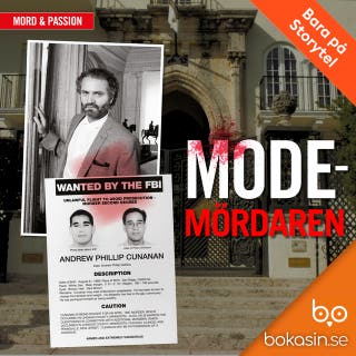 Modemördaren