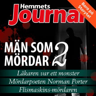 Män som mördar 2