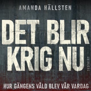 Det blir krig nu : Hur gängens våld blev vår vardag