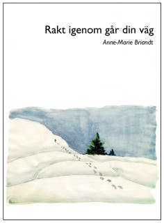 Rakt igenom går din väg