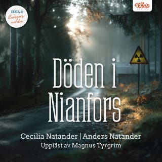 Döden i Nianfors