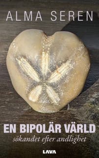 En bipolär värld - sökandet efter andlighet