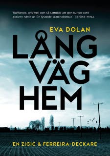 Lång väg hem (Zigic och Ferreira, del 1)