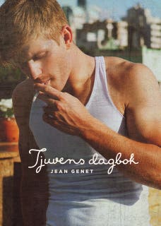 Tjuvens dagbok