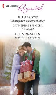Sanningen om hundar och katter / Två mirakel / Härifrån... till evigheten
