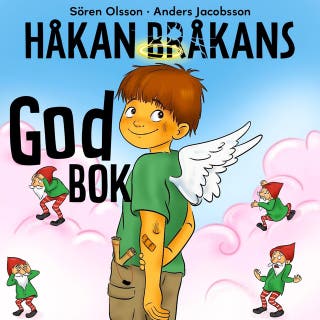 Håkan Bråkans godbok