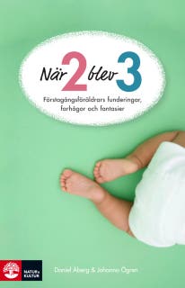 När 2 blev 3 : förstagångsföräldrars funderingar, farhågor och fantasier