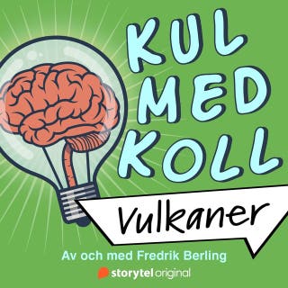 Vulkaner