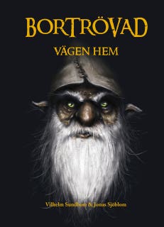 Bortrövad : Vägen hem