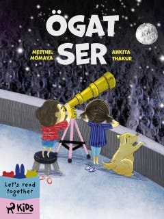 Ögat ser