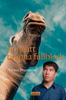 Som att bränna fullblod