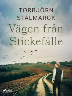 Vägen från Stickefälle