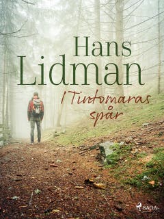 I Tintomaras spår