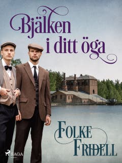 Bjälken i ditt öga