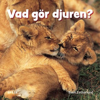 Vad gör djuren?