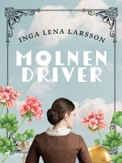 Molnen driver
