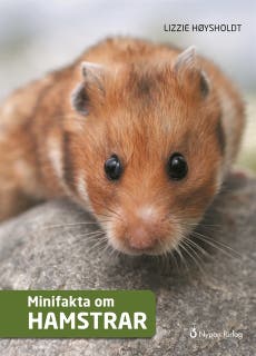 Minifakta om hamstrar