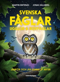 Svenska fåglar : ugglor och rovfåglar : jämför och lär känna 29 arter