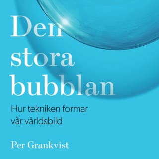 Den stora bubblan : hur tekniken format vår världsbild