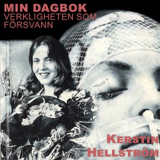Min dagbok : Verkligheten som försvann